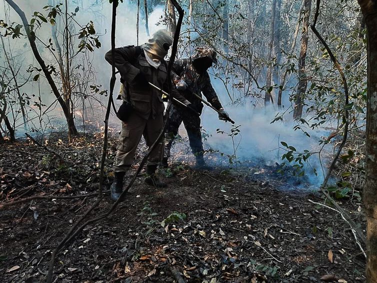 Marinho defende medidas preventivas para evitar incêndios no Pantanal