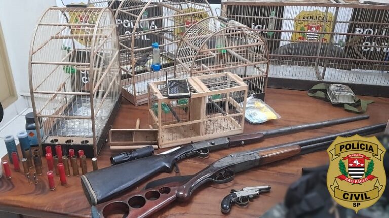 Polícia Civil resgata cinco aves e apreende três armas em casa de caçador de animais silvestres