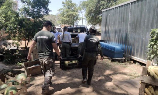 Parceria entre Governo do Tocantins e Ibama auxilia resgate da fauna silvestre no Pantanal
