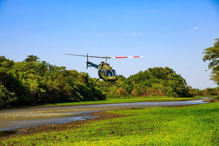 Governo de MT mantém estrutura de atendimento a animais silvestres no Pantanal