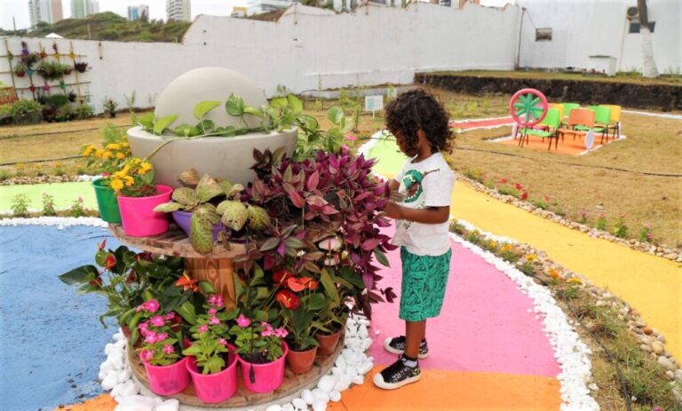 Vídeo: Casa de Apoio Ninar recebe Jardim Sensorial