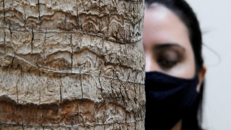 Proteção à mulher aumenta durante a pandemia