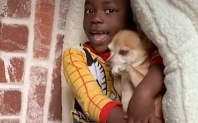 Garotinho e sua chihuahua são melhores amigos e encantam web