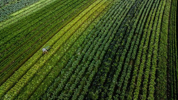 Secretaria da Agricultura e Fapesc vão mapear inovações voltadas para o agronegócio