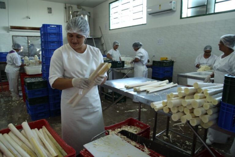 Governo pede prorrogação do Convênio 100, para incentivar o agronegócio em Rondônia
