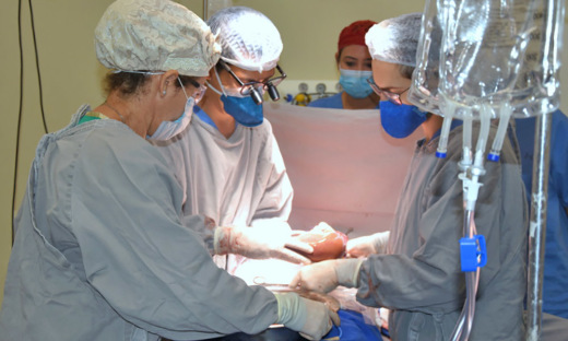 Hospital Geral de Palmas realiza nova captação de órgãos