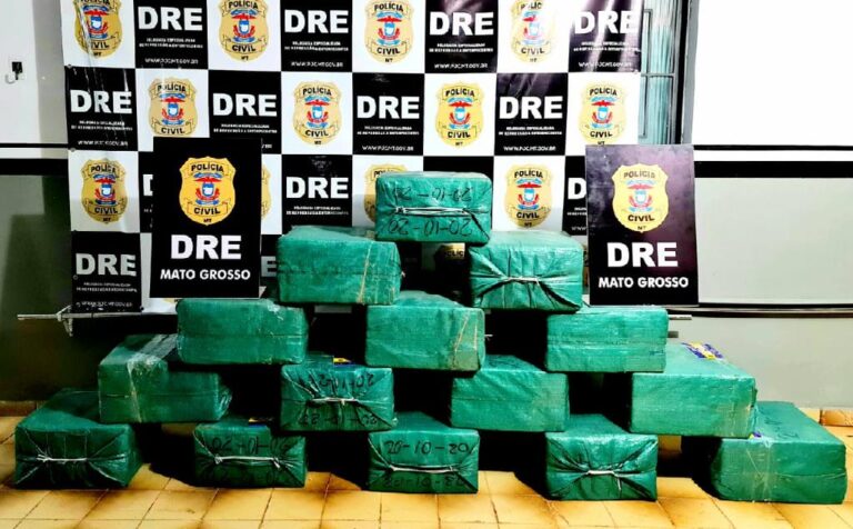 Ação conjunta apreende 750 kg de cocaína escondidos em carregamento de grãos