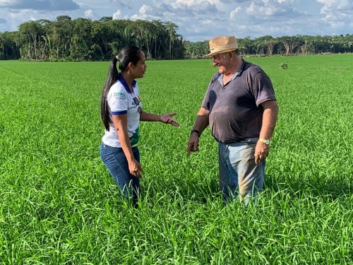 Idam em Humaitá registra alta na produção de arroz e soja na safra 2020/2021