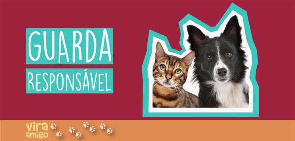 Vira Amigo: participe de curso sobre guarda responsável de animais de estimação