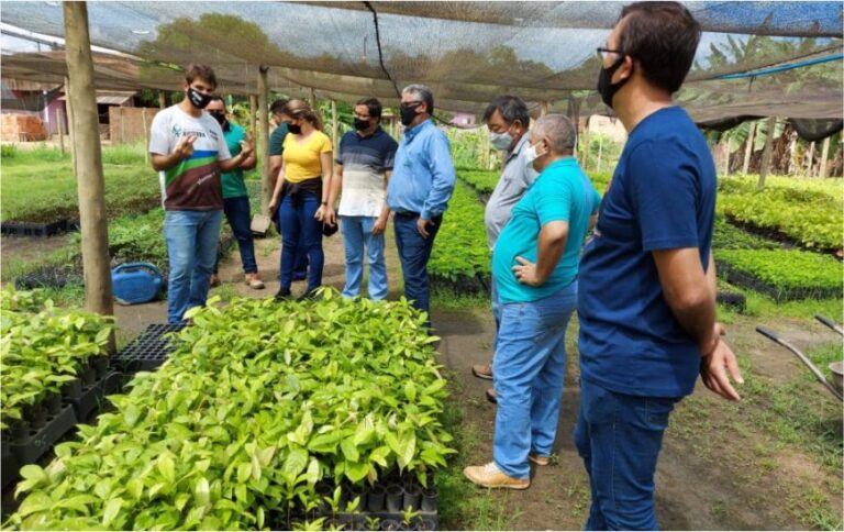 Capacitação em serviços de Ater fortalece política de regularização ambiental de Rondônia