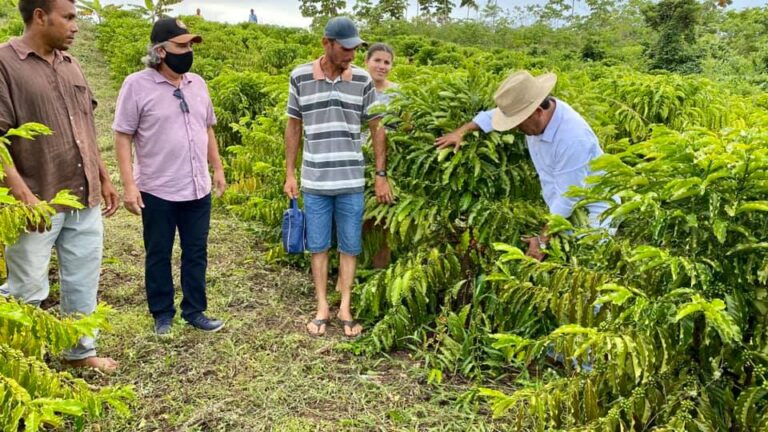 Governo do Estado prepara pacote de ações para apoiar agricultura familiar em Cruzeiro do Sul