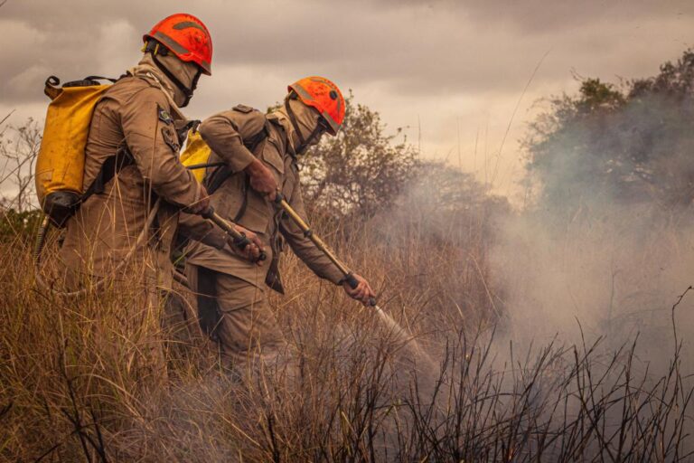 Ciman finaliza as atividades após período crítico de queimadas e incêndios florestais