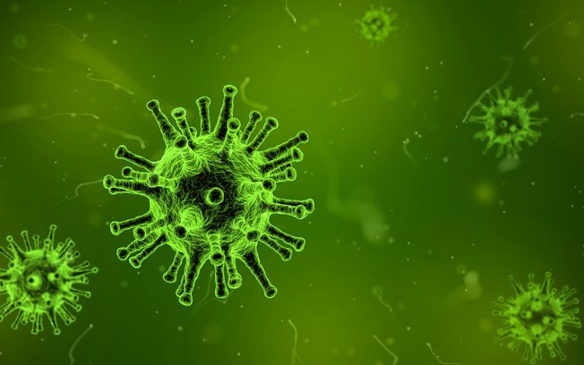 Vírus raro está sendo transmitido entre humanos na Bolívia