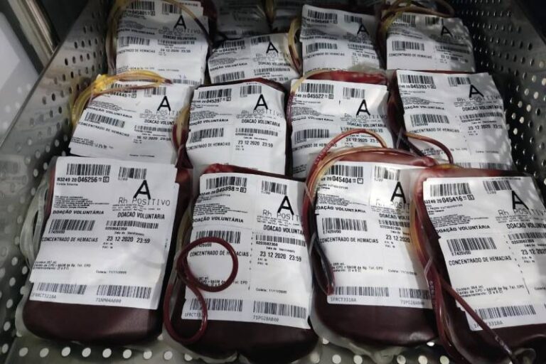 Hemopa envia bolsas de sangue ao Amapá para reforçar estoque