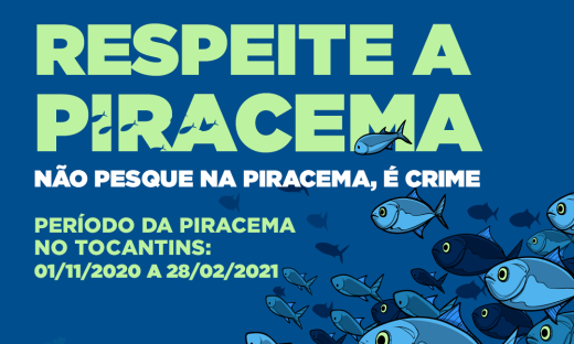 Governo do Tocantins lança campanha de sensibilização do período de defeso da Piracema 2020/2021