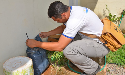 Governo do Tocantins celebra queda na incidência dos casos de dengue, zika e chikungunya