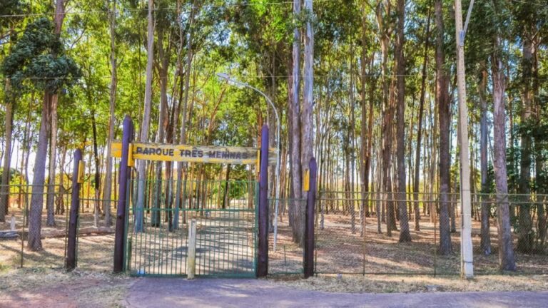 Parque ecológico Três Meninas, em Samambaia, vai receber força-tarefa