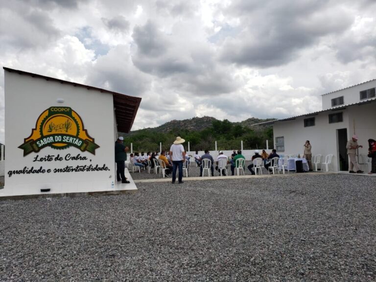 Laticínio de agricultores familiares é certificado pela Adab em Curaçá