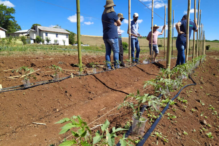 IDR-Paraná usa a internet capacitação conjunta em agricultura orgânica