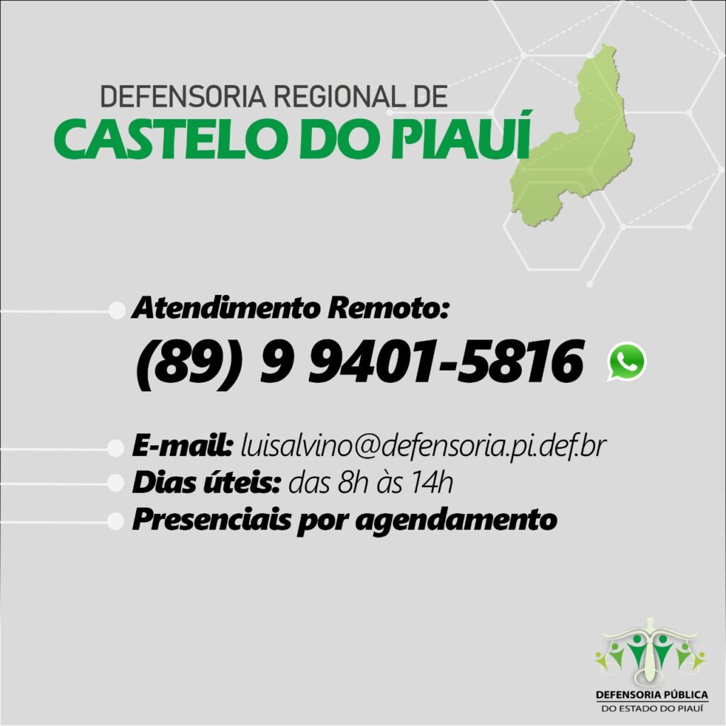 Defensoria de Castelo do Piauí tem resultados eficazes durante a pandemia