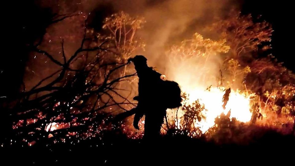 Brigadistas receberão certificados de Honra ao Mérito