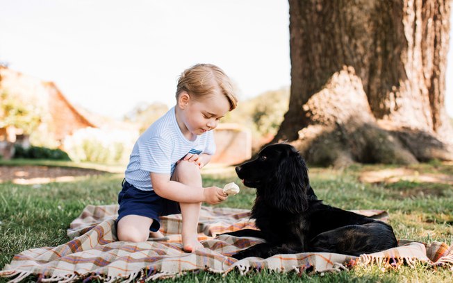 Morre Lupo, o cachorrinho do príncipe Willian e de Kate Middleton