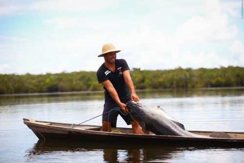 Assistência técnica do Idam fortalece pesca manejada do pirarucu no Amazonas