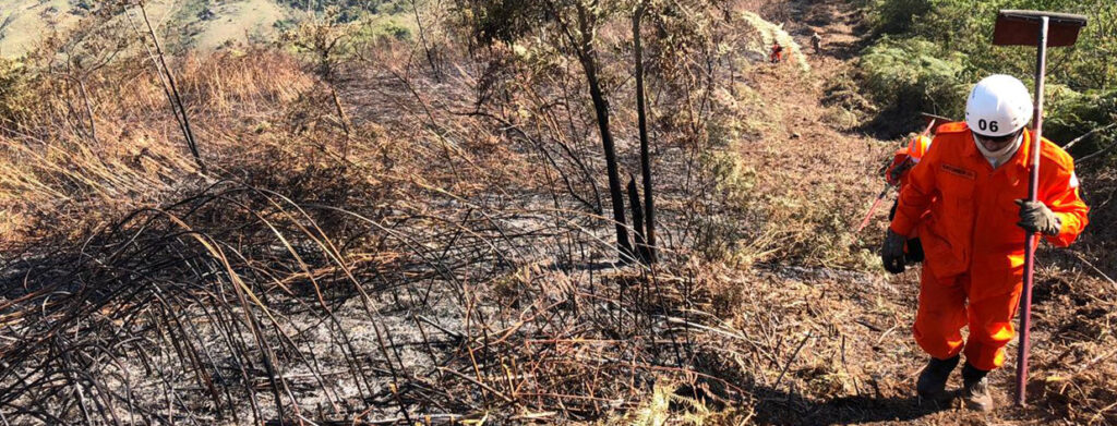Bombeiros combateram 11 mil incêndios em vegetação no período de seca