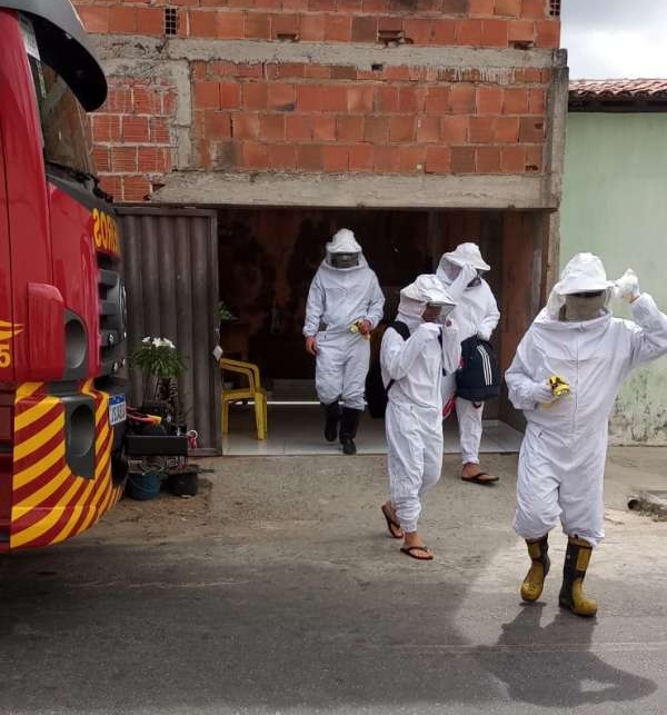 Bombeiros resgatam três pessoas vítimas de ataque de abelhas em Messejana