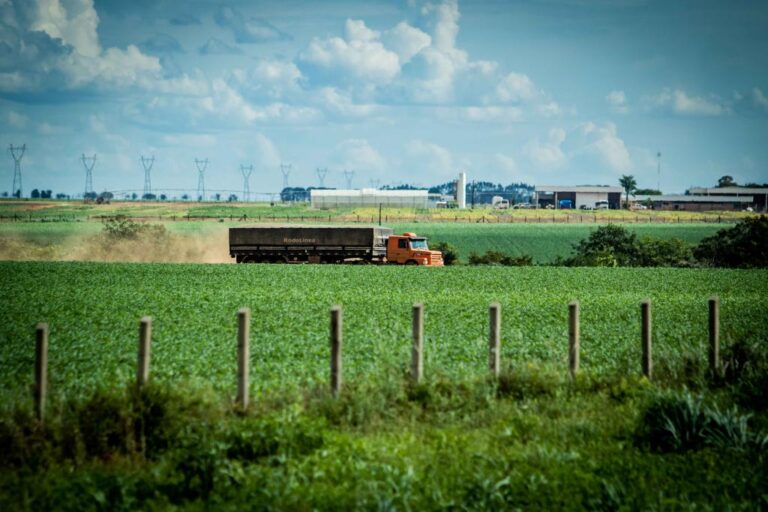 Concessão de rodovias vai melhorar escoamento da produção agrícola de MT