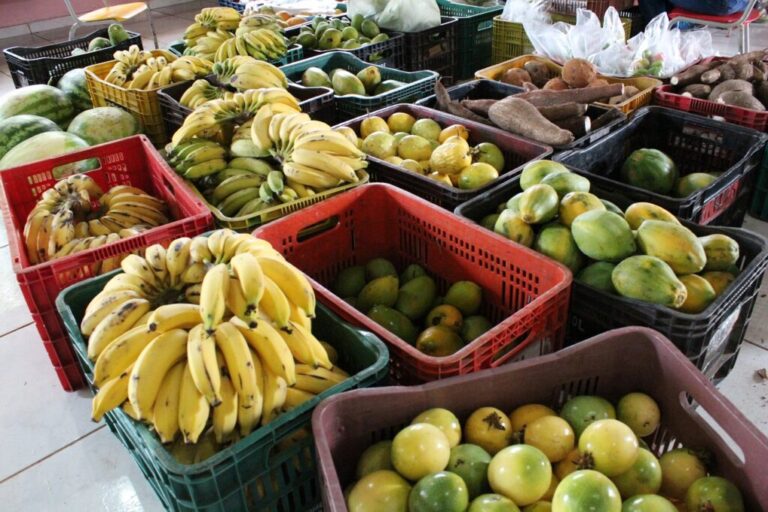 Vídeo: Produtores rurais iniciam comercialização para o Programa de Compras da Agricultura Familiar