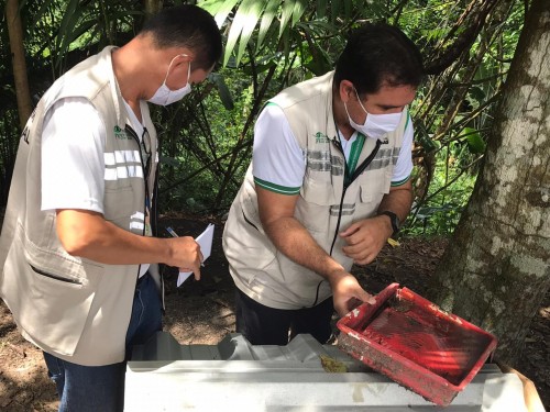FVS-AM encerra implantação de Brigadas contra o Aedes aegypti no sistema prisional de Manaus