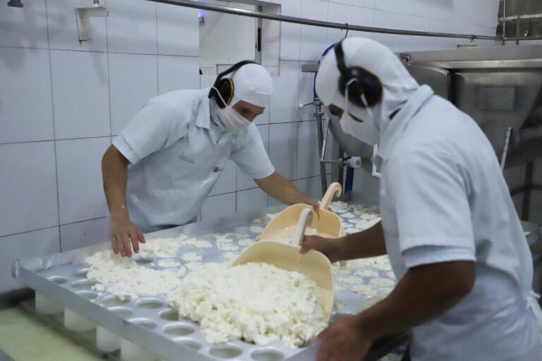 ​Indústrias de laticínios ampliam a importância da cadeia do leite no Estado