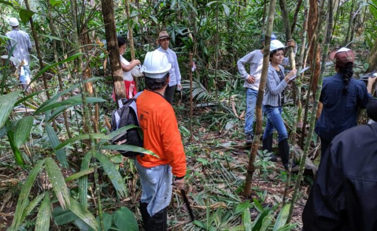 Regularização de propriedades rurais de Rondônia será impulsionada com a contratação de analistas ambientais