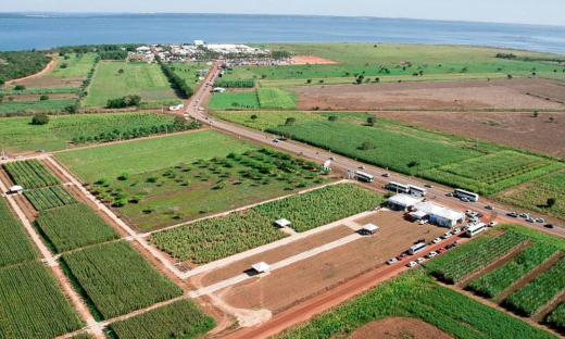 Governo do Tocantins qualifica Parque Agrotecnológico e mais quatro projetos para o Programa de Parcerias de Investimentos