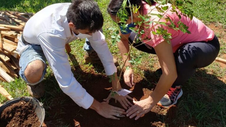Plantio de árvores homenageia vítimas da Covid-19 e fortalece o cerrado