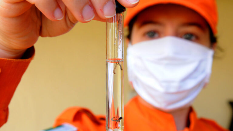 Sinal de alerta contra a dengue