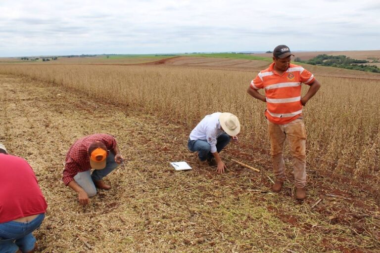 ​IDR-Paraná promove concurso para premiar a colheita de soja