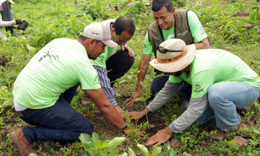 Governo do Tocantins inicia plantio de mudas no Parque Estadual do Lajeado em parceria com a ONG 8 Billion Trees