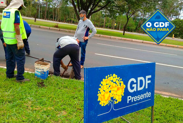 GDF retira 288 toneladas de lixo do Plano Piloto