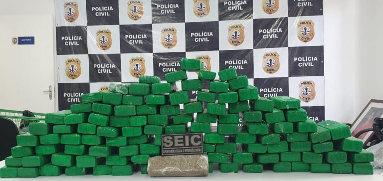 Operação da Polícia Civil apreende mais de 100 quilos de maconha em São Luís