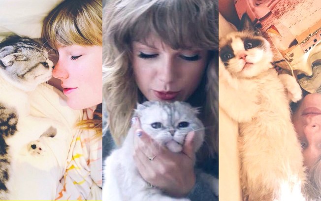 Conheça Meredith, Olivia e Benjamin: os gatos da cantora Taylor Swift