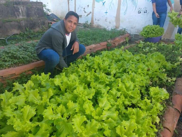 Centro Educacional em Firmino Alves doa frutas e hortaliças cultivadas em projeto agroecológico para a comunidade local