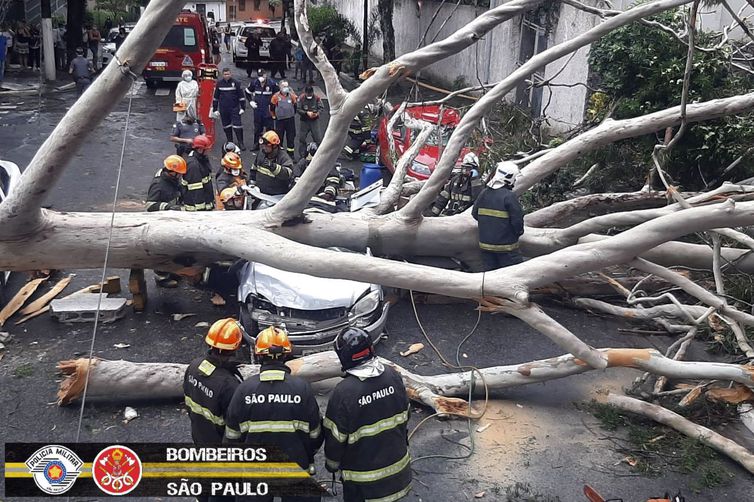 Fortes chuvas devem voltar a atingir São Paulo hoje