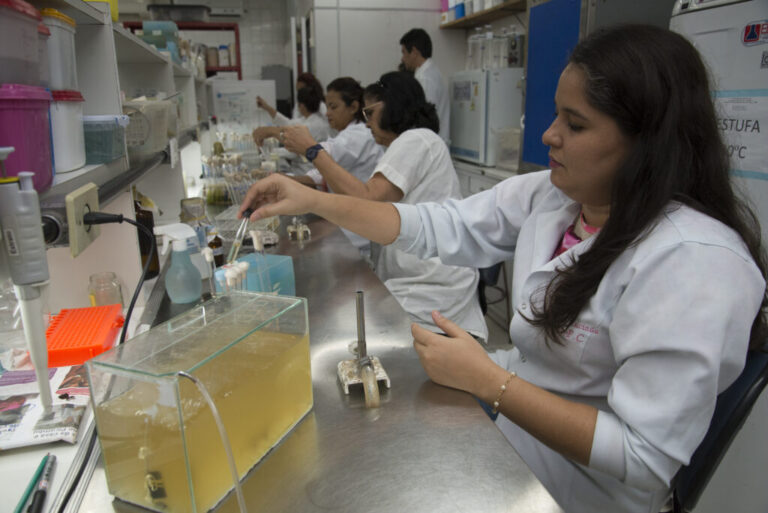 Governo do Ceará institui Programa Cientista-Chefe como política pública de estado