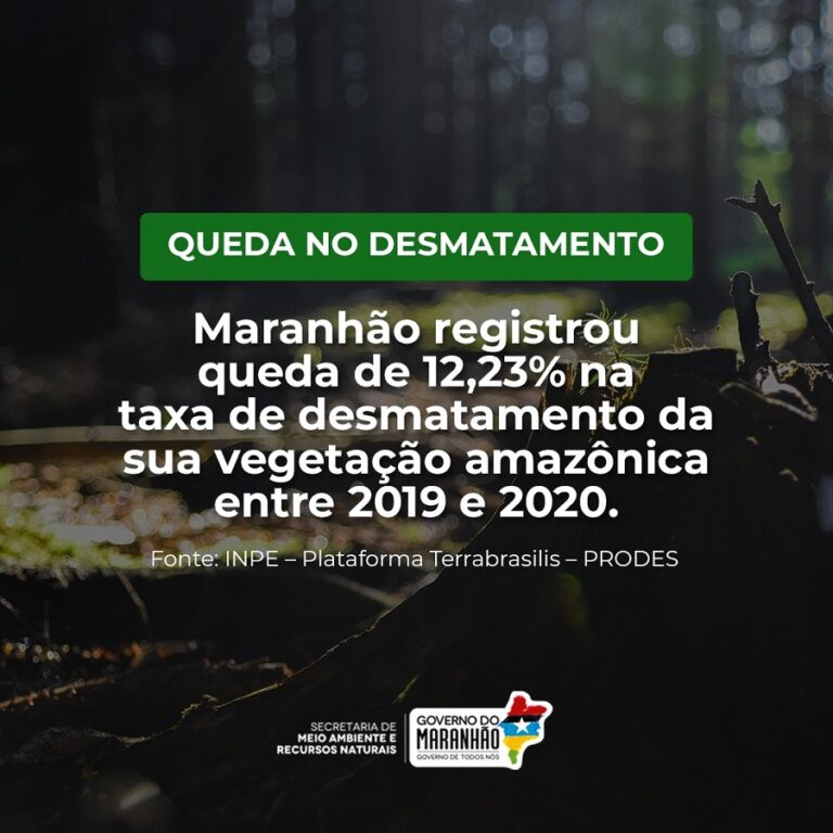 Maranhão registra queda na taxa de desmatamento entre 2019 e 2020