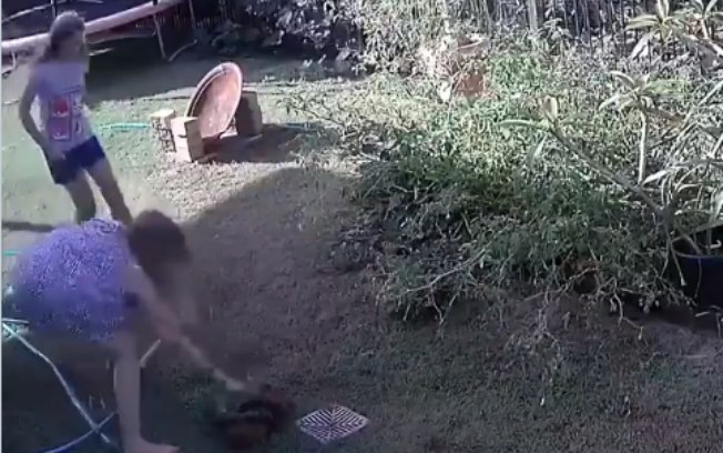 Mulher briga com cobra píton para salvar seu cachorro; assista o vídeo