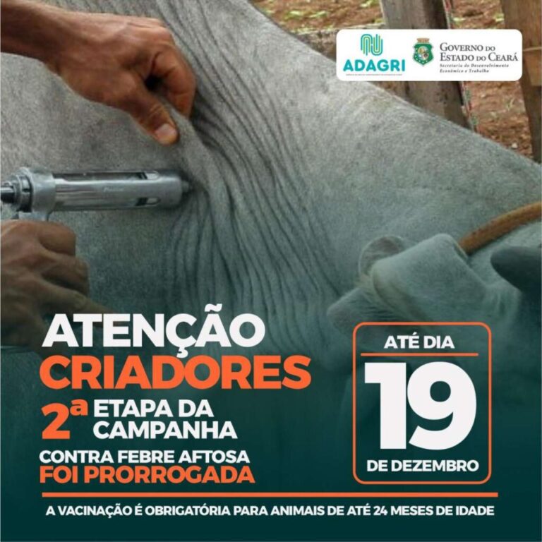 Campanha contra Febre Aftosa é prorrogada até dia 19 de dezembro