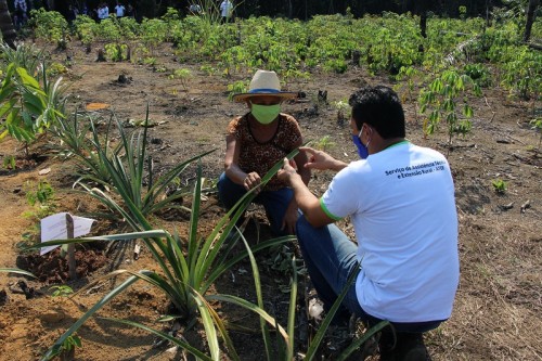 Serviço de Extensão Rural completa 54 anos no Amazonas