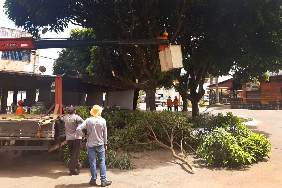 Foto: Divulgação/GDF Presente